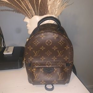 Louis Vuitton Palm Springs Mini Backpack